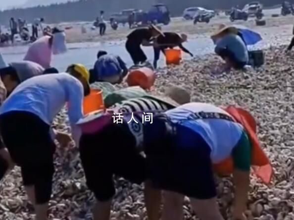 臺(tái)風(fēng)送來(lái)大量生蠔海鮮 市民拎麻袋裝