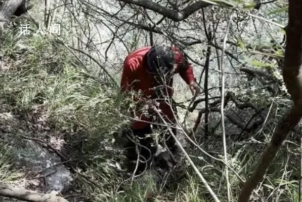 湖南女子為添道菜深山采蘑菇失聯 遺體在懸崖下被發現