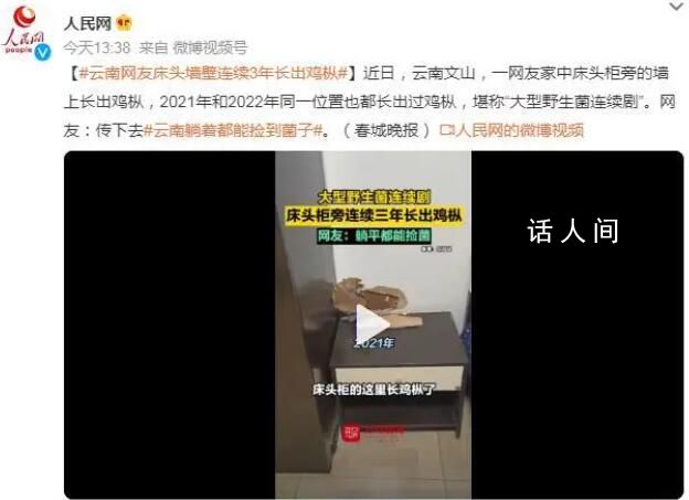 村民家中床頭連續三年長雞樅 網友：傳下去云南躺著都能撿到菌子