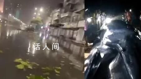 臺風(fēng)泰利登陸:鯨魚被沖上岸引圍觀