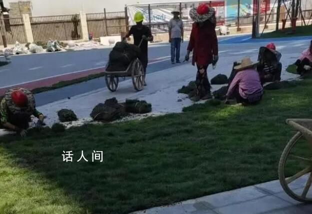 樓盤綠化面積不夠 開發(fā)商鋪草坪充數(shù)