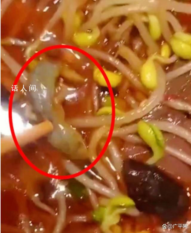 男子稱在飯店毛血旺里吃出壁虎 目前一人在住院