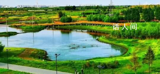 黑龍江多地“大暑”不暑 大暑節(jié)氣卻不是最熱的節(jié)氣