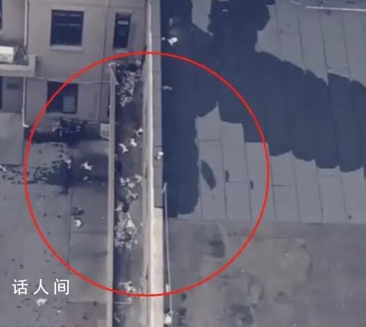 網傳天津一小區15只貓被高空拋下 警察和消防隊員到現場開展工作