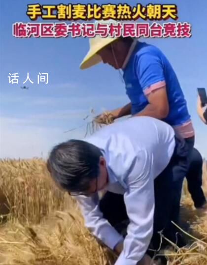 區委書記與村民比賽手工割麥子 其嫻熟的手法引來網友稱贊