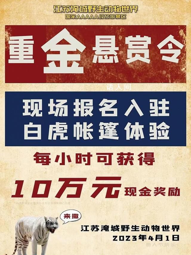 重金懸賞與虎同住的動物園被罰 最終被罰25萬元
