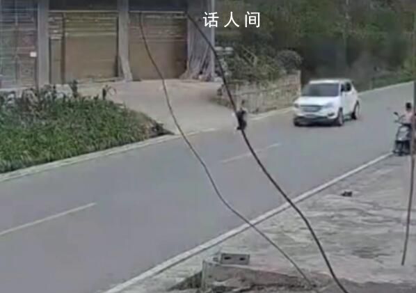 小孩兒童節被撞身亡被判與司機同責 肇事車輛車速在73-81碼