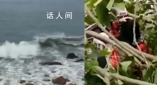 福建現10級風 有樹被吹斷砸到路人