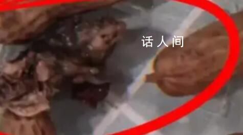 官方通報水煮花生益吃出鼠頭 依法依規作出嚴肅處理