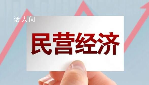 促進(jìn)民營經(jīng)濟(jì)做大做優(yōu)做強(qiáng) 依法依規(guī)為其解難題辦實(shí)事