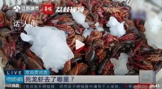 成噸死龍蝦疑似被做成蝦尾出售 當(dāng)?shù)厥袌霰O(jiān)管部門仍在進一步調(diào)查當(dāng)中
