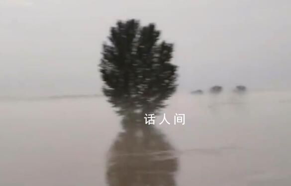 保定一洗浴中心接納200人免費住 當地發現險情及時預警