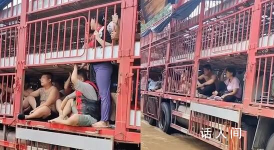 涿州洪災 拉豬大貨車變“諾亞方舟”