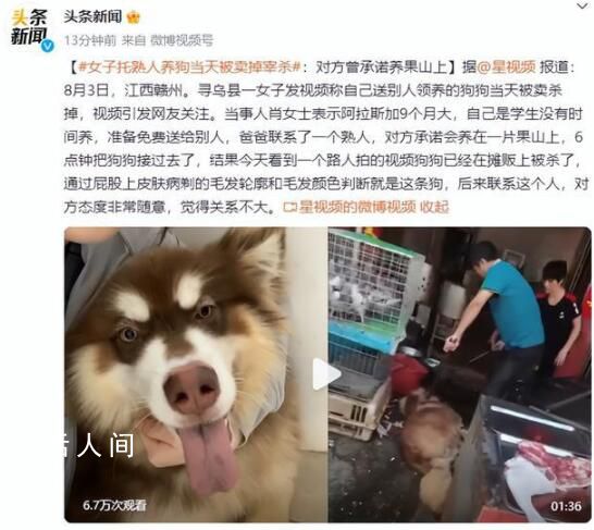 托熟人養狗當天被賣掉宰殺 引發了眾多網友的關注和討論