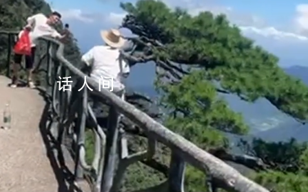 老人坐在懸崖邊的迎客松上拍照 這一幕看得人膽戰(zhàn)心驚