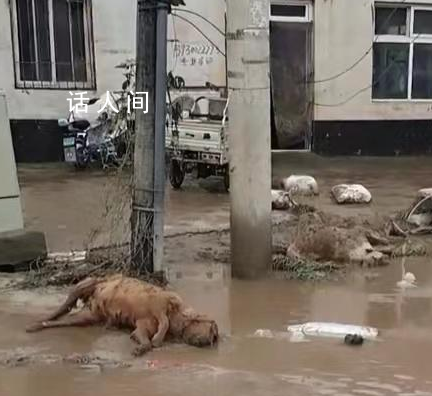 涿州洪水退去街頭開始消殺 確保災后無大疫