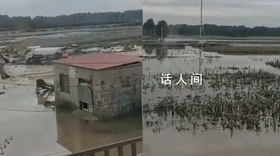 涿州大量莊稼仍泡在水中 平房被淹至屋頂