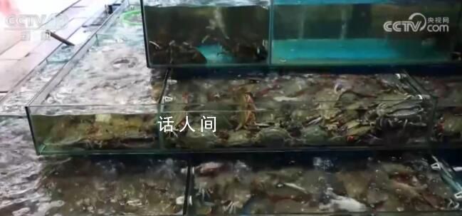 東海開漁 價格最高降四成