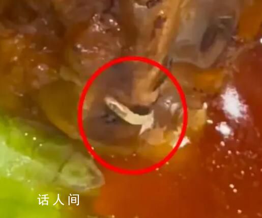女子稱四星級酒店肘子中躥出活蛆 一定要查清楚給大家一個說法