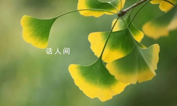 立秋不意味著入秋 立秋只預示著季節轉換的開始