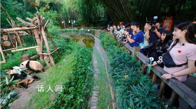 張雨霏和花花“頂流”相見 引來陣陣歡笑