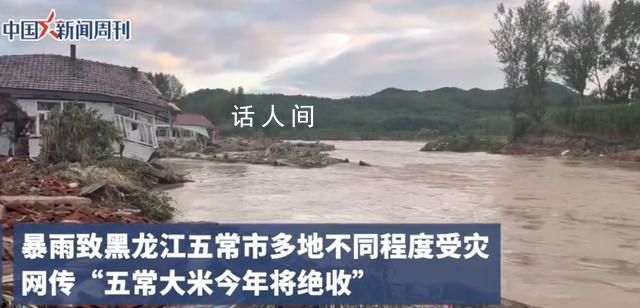 種植戶稱五常大米未達到絕收程度 擔心絕收傳言使五常大米滯銷