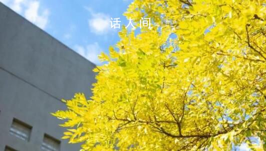 九月,大學見!