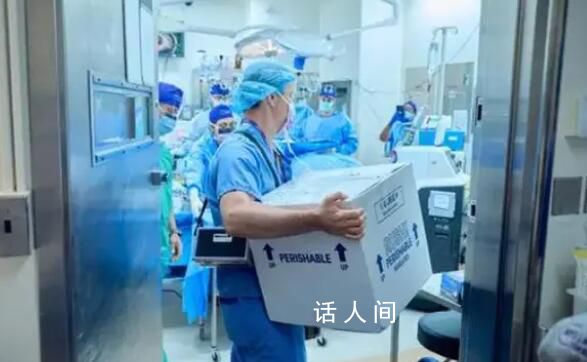 豬腎移植人體后成功撐過1個月 創(chuàng)造了基因編輯豬腎臟在人體內(nèi)工作的新紀錄