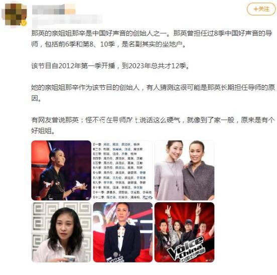 那英姐姐被曝是好聲音創(chuàng)始人 《中國好聲音》被曝新內(nèi)幕