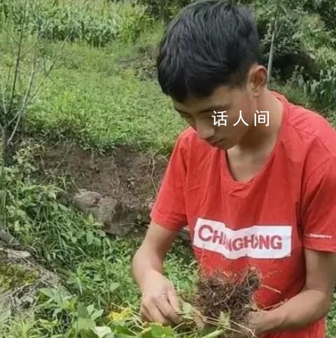 木乃約熱高考各科成績(jī) 木乃約熱考了多少分