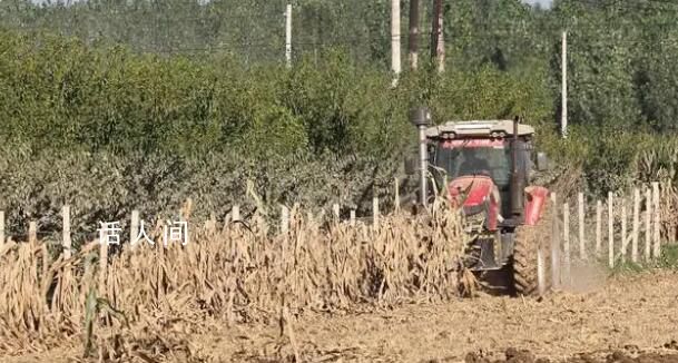 復耕補種進行時 眾志成城防汛救災