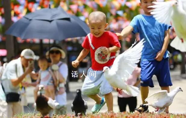 暑期“游經濟”展現新活力 暑期旅游市場復蘇提速