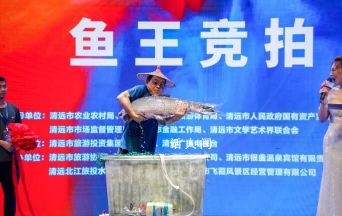 “魚王”拍出30萬 買家當(dāng)場放生