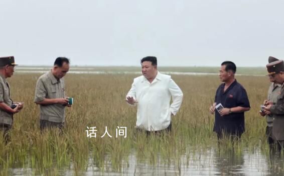 金正恩半身踩進稻田視察救災(zāi)重建 點名批內(nèi)閣總理金德訓(xùn)