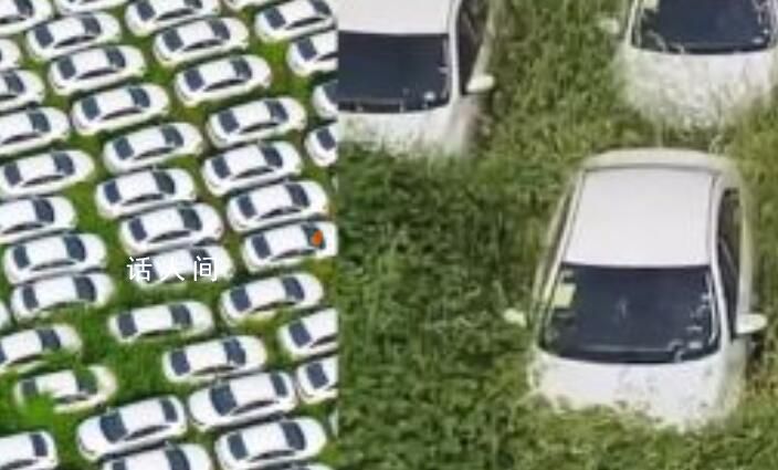 杭州又現“汽車墳場”?街辦回應