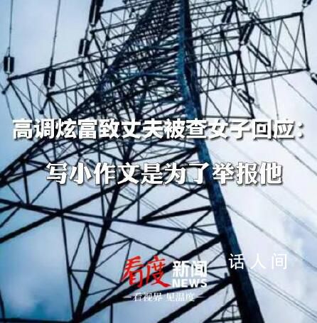 女子稱寫炫富小作文是為了舉報丈夫 花了30萬元行賄入職