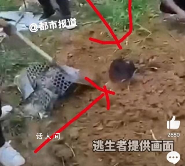 緬甸逃回男子曝出活埋視頻 每個禮拜都看到死人