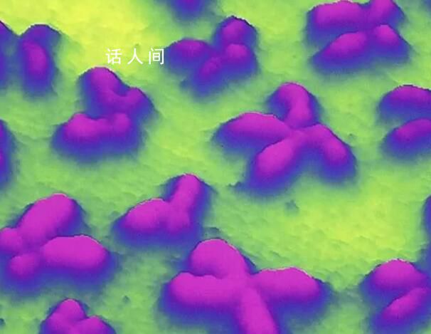 人類Y染色體首次被完全破譯 Y染色體是決定性別的染色體