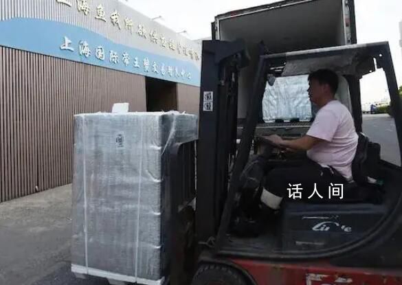 水產品商家:不敢吃海鮮是庸人自擾