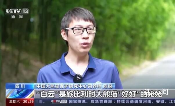 這是“萬物共生”的中國答卷