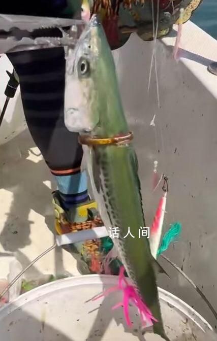 男子海釣 魚身上卡著一個鐲子