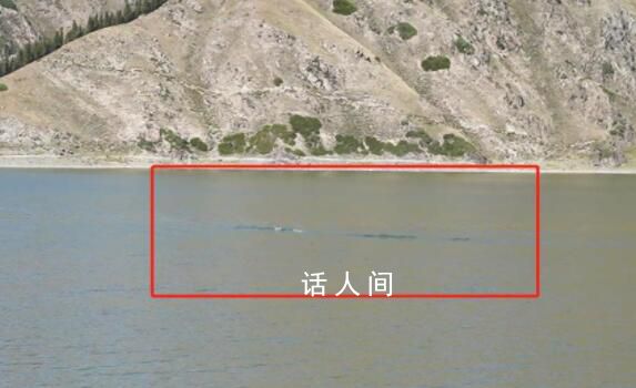 天山天池現(xiàn)銀色水怪?景區(qū):無(wú)法判斷