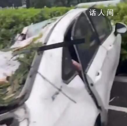 臺(tái)風(fēng)吹倒大樹(shù)砸中汽車(chē)致1死2傷 風(fēng)雨影響仍將持續(xù)