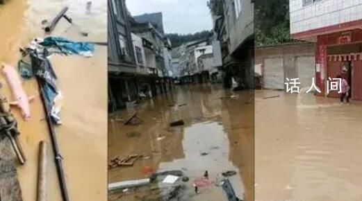 臺(tái)風(fēng)致廣西強(qiáng)降雨 小豬在水中漂流