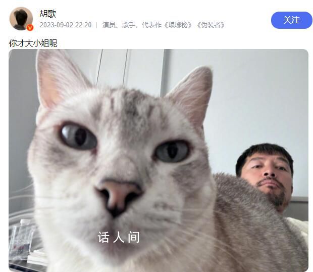 胡歌回應熱評:你才大小姐呢