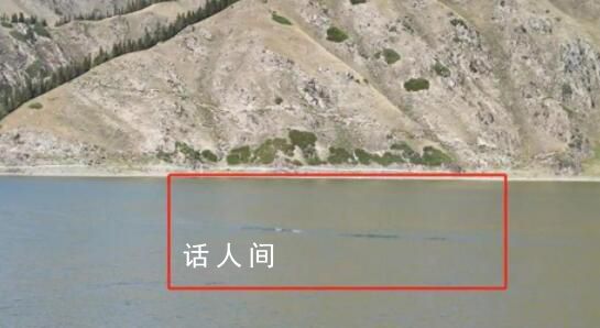 天山天池拍到水怪?官方展開調(diào)查
