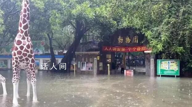佛山動物園辟謠暴雨致動物出逃 目前園區(qū)正在排水