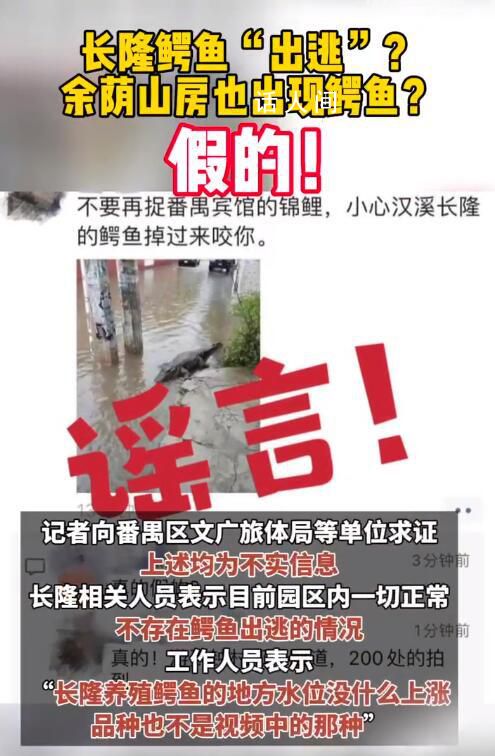 廣州長隆鱷魚出逃?官方辟謠
