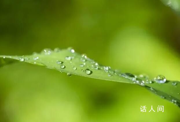 今天白露 一場白露一場霜