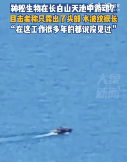 目擊者回應(yīng)長(zhǎng)白山天池現(xiàn)神秘生物 在這工作很多年的都說(shuō)沒見過(guò)